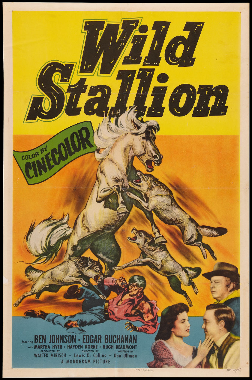 WILD STALLION